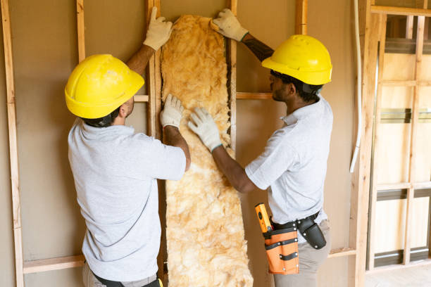 Best Cellulose Insulation  in Woodway, TX